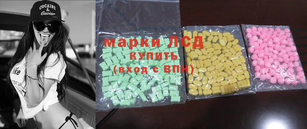 PSILOCYBIN Алзамай