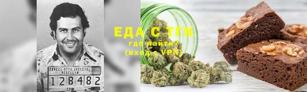 PSILOCYBIN Алзамай