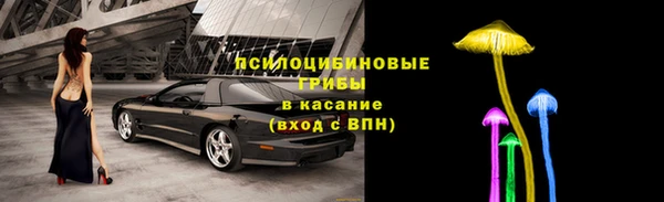 PSILOCYBIN Алзамай