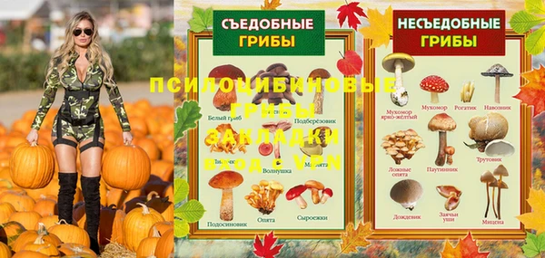 PSILOCYBIN Алзамай