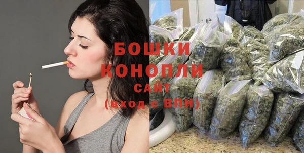 PSILOCYBIN Алзамай