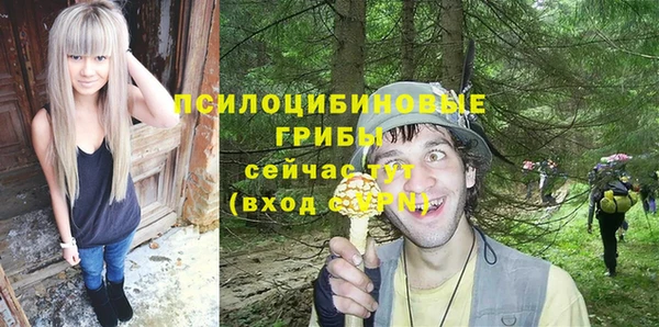 ALPHA-PVP Алексеевка