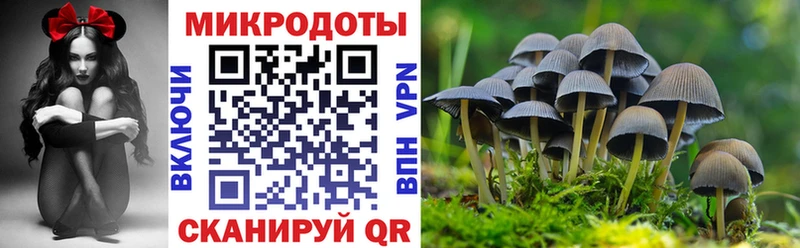 Галлюциногенные грибы мухоморы  Яхрома 